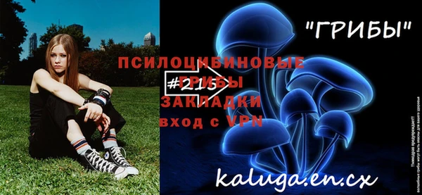 тгк Алексин