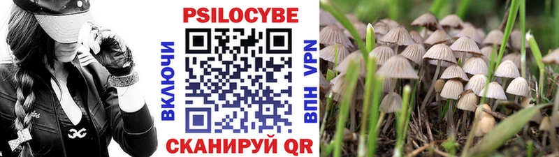 Галлюциногенные грибы ЛСД  кракен ссылки  Батайск 