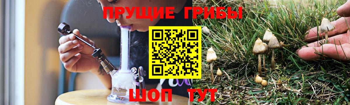Галлюциногенные грибы прущие грибы  Галлюциногенные грибы Magic Shrooms  Вход с VPN  Батайск 